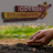 Projeto Vencedores Plantando o Futuro